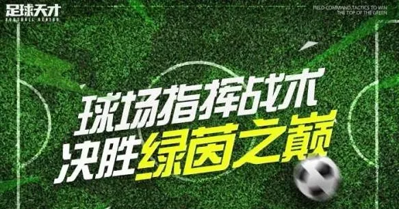 足球天才(足球经理游戏) 足球天才(足球经理游戏)