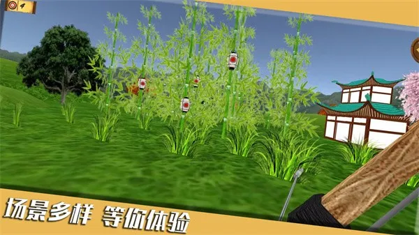 靶心射击(射击闯关游) 靶心射击(射击闯关游)