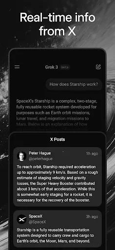 Grok(๦AI)v2020 ׿ͼ