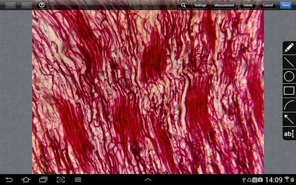 MotiConnect(΢ͼ)v3.1.4 ֻͼ