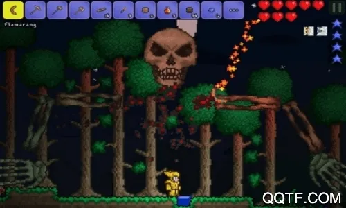 ̩Сٿ2025ٷ°汾v1.8 ֻͼ