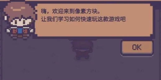 像素砖块:怪物破碎RPG2025官方正版 像素砖块:怪物破碎RPG2025官方正版