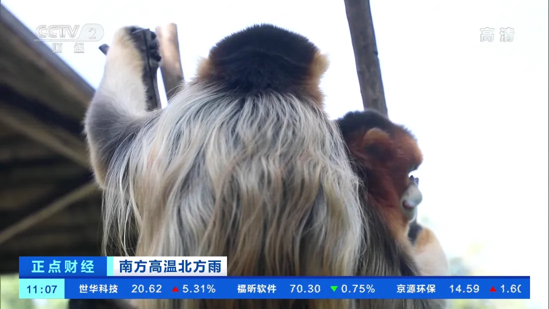 TVHub(ӰӲ)v10.1 Ѱͼ