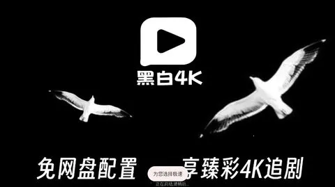 黑白4K(免费影视台) 黑白4K(免费影视台)