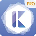࿪Pro2025ذװv8.0.29 ׿