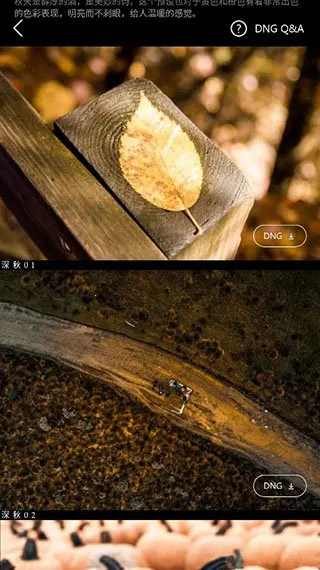 Koloro滤镜大师调色(滤镜调色工具) Koloro滤镜大师调色(滤镜调色工具)