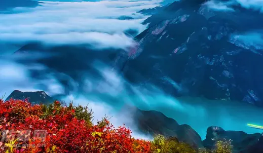 河山新闻(新闻资讯平台) 河山新闻(新闻资讯平台)