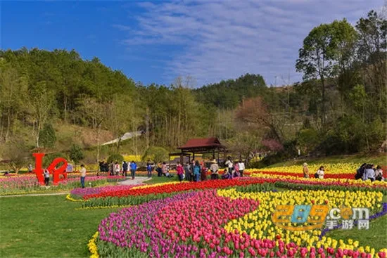 文旅头条新闻网(文旅资讯平台) 文旅头条新闻网(文旅资讯平台)