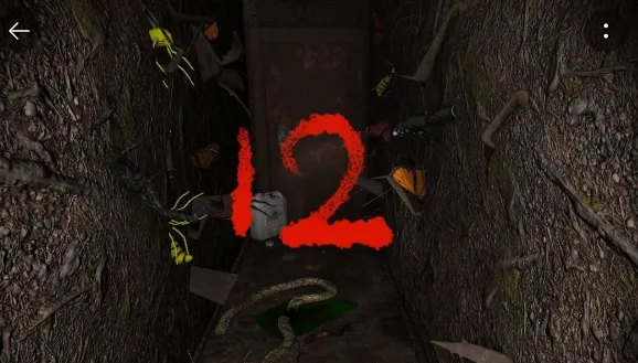 孙美琪疑案12(恐怖解谜游戏) 孙美琪疑案12(恐怖解谜游戏)