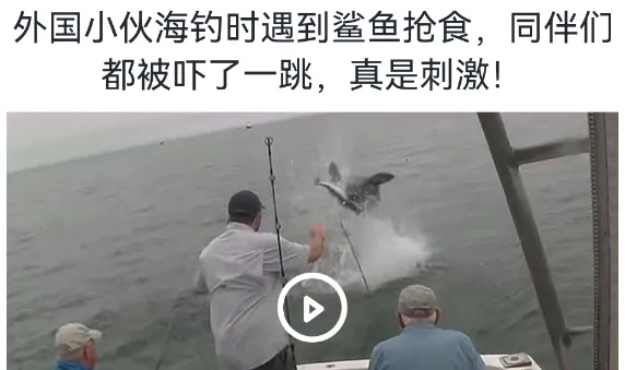 钓鱼宝典2025官方正版 钓鱼宝典2025官方正版