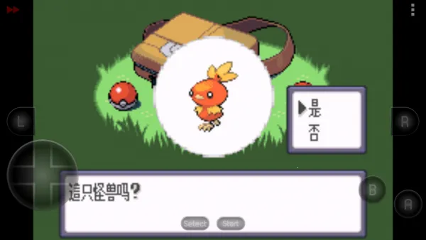 ڴʯ İ2025ذװv2021.12.28.17 ֻͼ