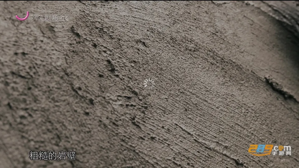 ɴֱ2025ٷv1.0.5 ٷͼ