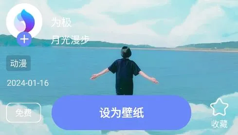 极壁纸(壁纸及桌面工具) 极壁纸(壁纸及桌面工具)