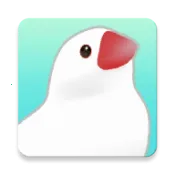 ��������2025�ٷ�����v1.1 ��Ѱ�