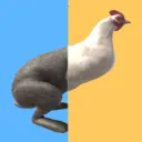 �������������ֻ���v1.5.8 �ٷ�����