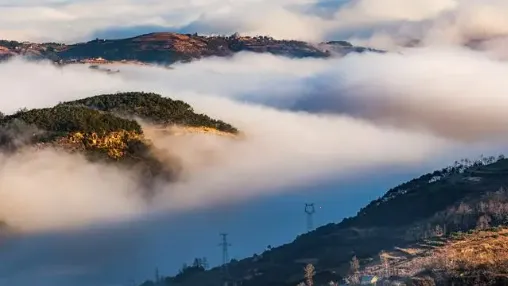 掌上凉山安卓版手机版 掌上凉山安卓版手机版