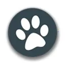 ���﷭��2026���ذ�װv1.5 �ֻ���