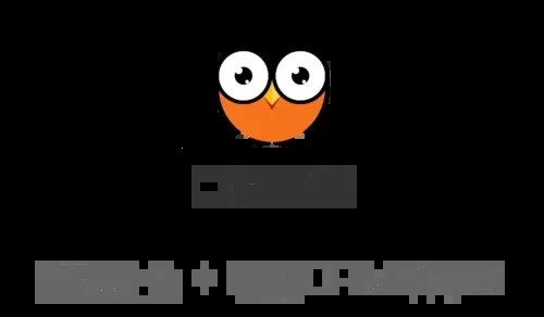 �ڴ�����