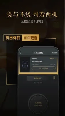 VIPER HiFi�����ֻ���v4.3.2 ��׿���ͼ