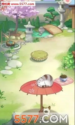 èլ�ռ�2026���°汾v1.1 ��Ѱ��ͼ