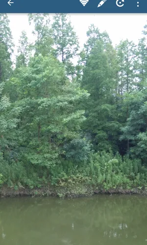 ��Ƭ��2026�ٷ����°汾v80.12.18.2023 ��׿���ͼ