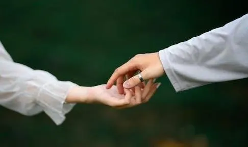 ��ҶƯ��ƿ2026�ٷ����°汾