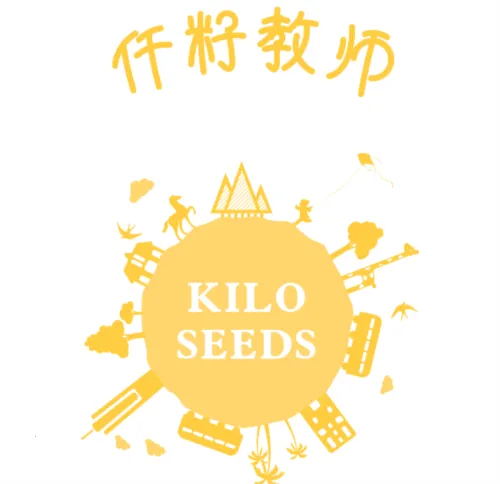 Ǫ�Ѱ�׿���ֻ���