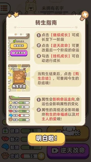 ��������ģ����2026�ٷ�����