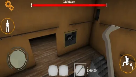 ����˫��̥