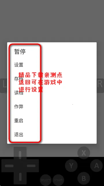 NDS模拟器 NDS模拟器