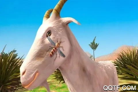 ����ģ����3D��׿���ֻ���v1.0 �ֻ����ͼ