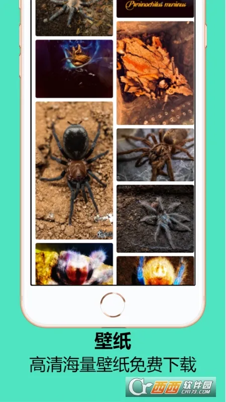 ����ʱ��v1.1.6 �ֻ����ͼ