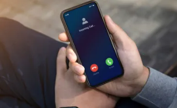 灰兔铃声 灰兔铃声