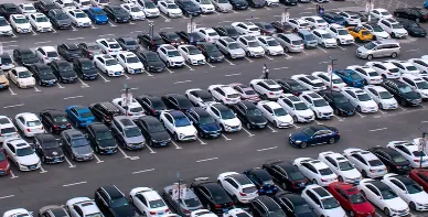 ����ͣ2026�ٷ�����