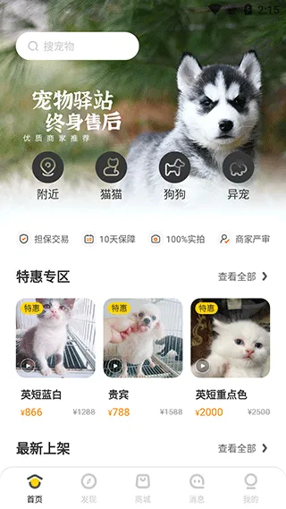 ��ֻ���������ֻ���