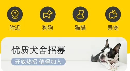 ��ֻ���������ֻ���