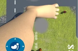 ���ģ����2026�ٷ�����