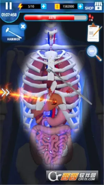 ������ʦ