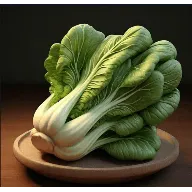 ��̷���TVv2.5.8 �ٷ�����