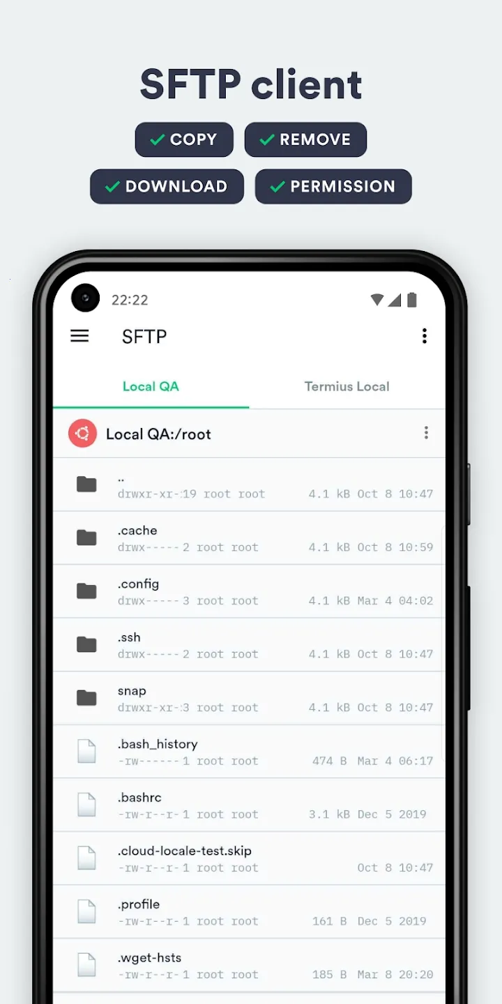 Termiusv6.2.1 �ٷ������ͼ