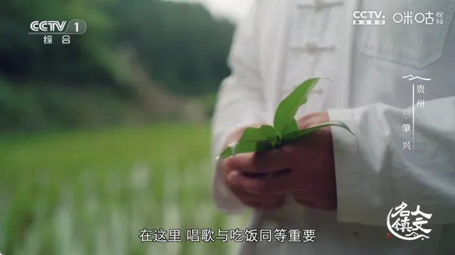 �䳲ֱ��TV����v6.6.9 ��׿���ͼ