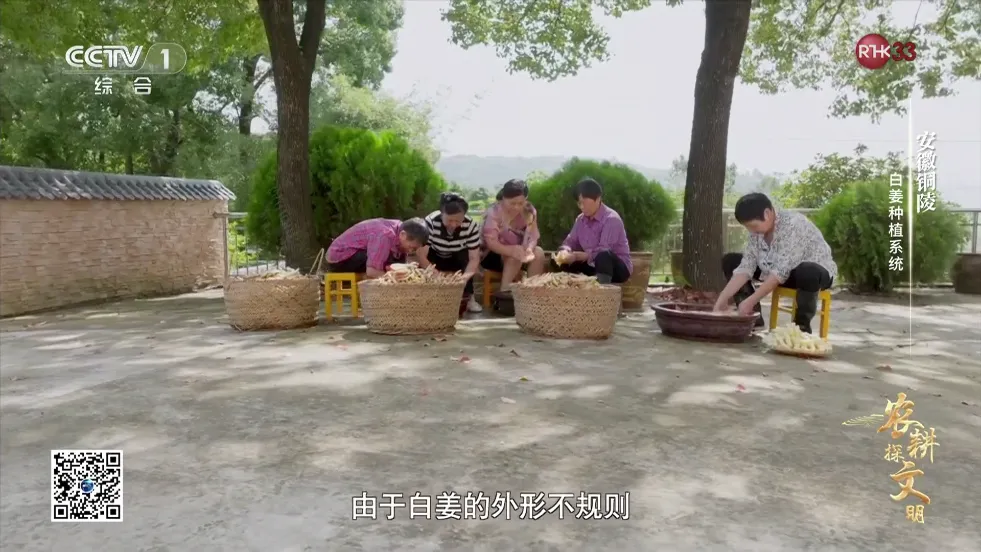 ����ֱ����׿���ֻ���vPY1.7.5.3 ��׿���ͼ