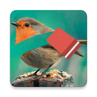 Magic Eraser2026�ٷ�����v2.21.9 �ֻ���