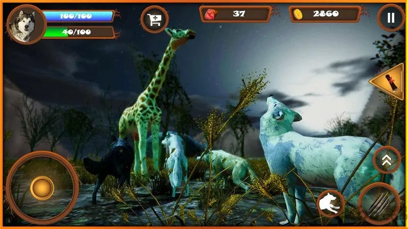 ����ģ����