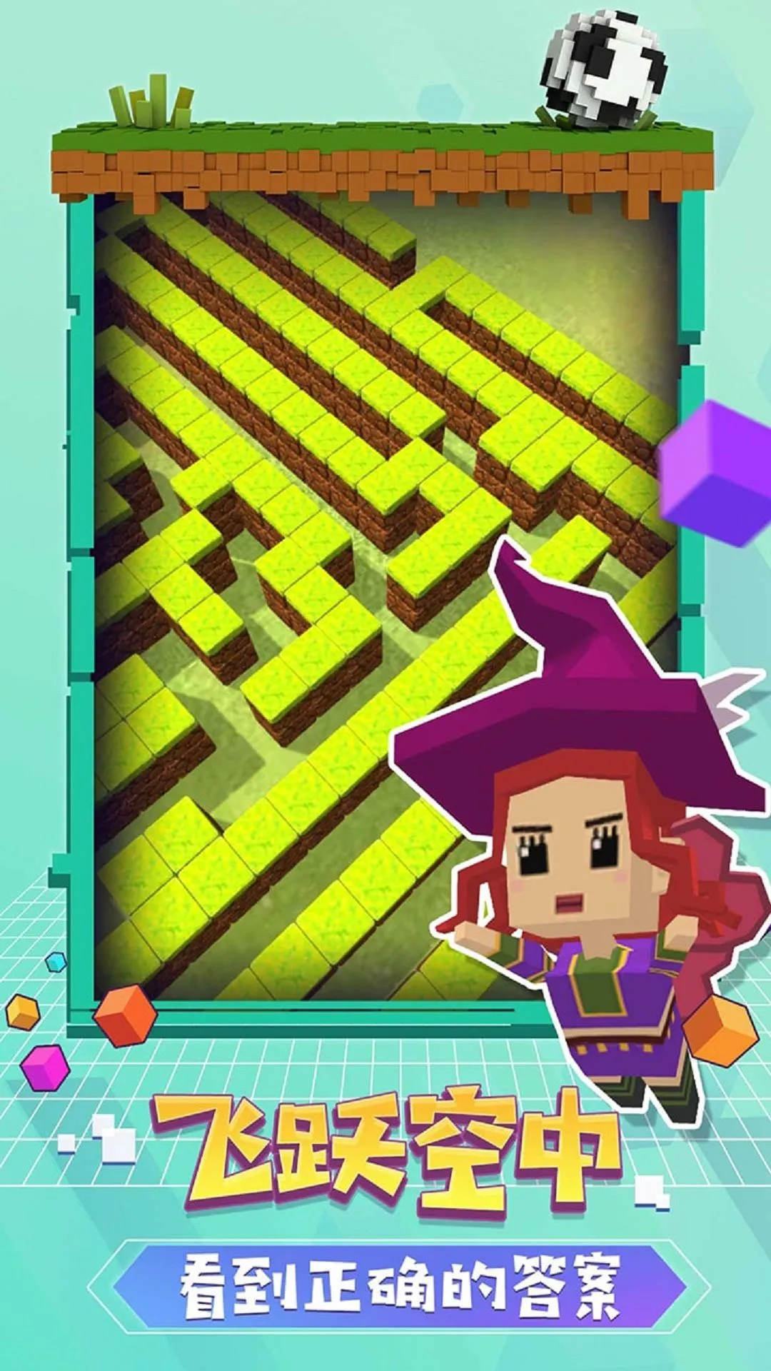 �����Թ�ð��v4.6.5 ��׿���ͼ