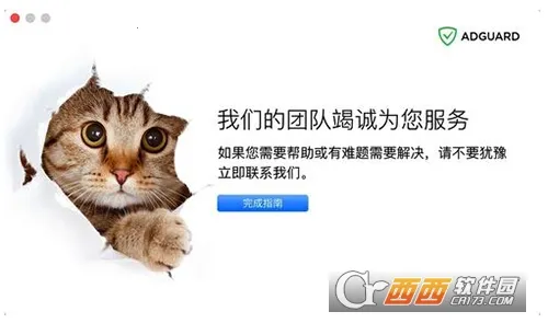 adguard�߼���v4.13.7 �ٷ������ͼ