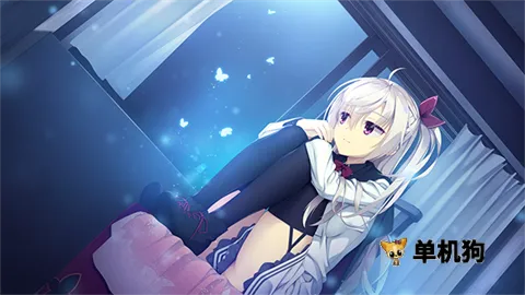 �ǹ⿧�ȹ�������֮��ֱװv68 ��Ѱ��ͼ