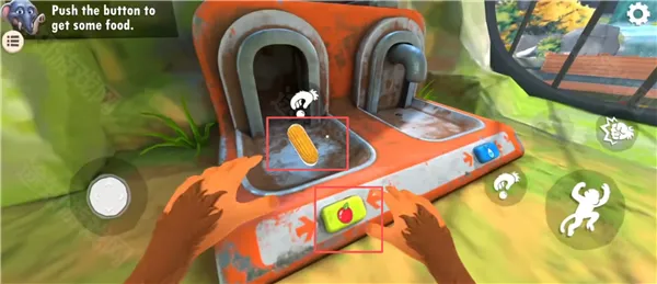 ����һֻ������