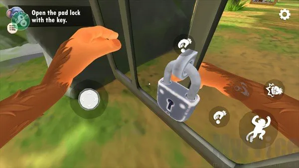 ����һֻ������