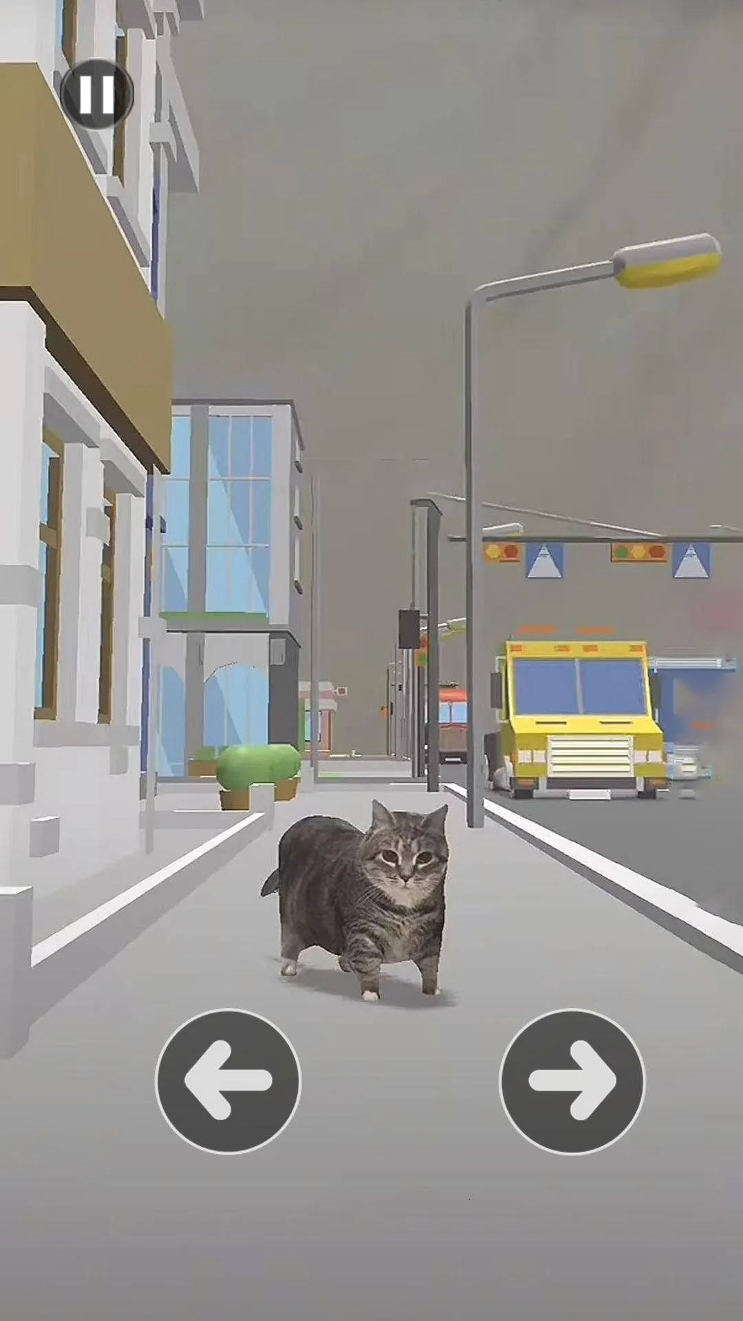 Сè����·(è�䴳����Ϸ)